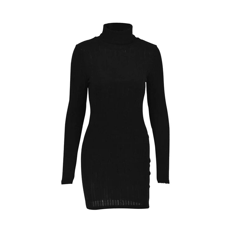 New Style Solid Dresses Autumn Winter Women Long Sleeves - Lifestil. www.Lifestil.net
