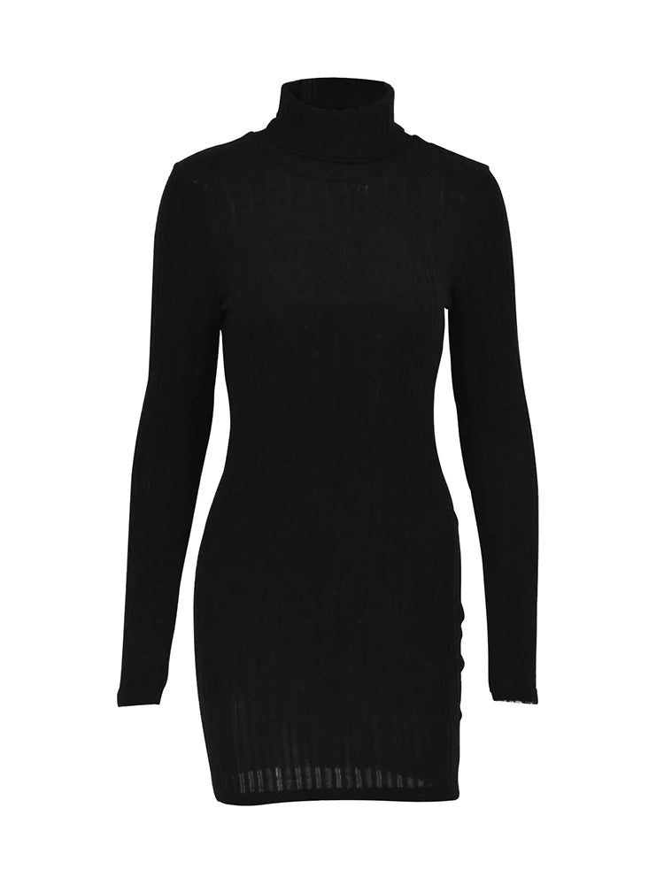 New Style Solid Dresses Autumn Winter Women Long Sleeves - Lifestil. www.Lifestil.net