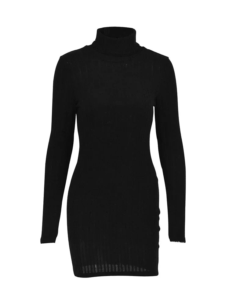 New Style Solid Dresses Autumn Winter Women Long Sleeves - Lifestil. www.Lifestil.net