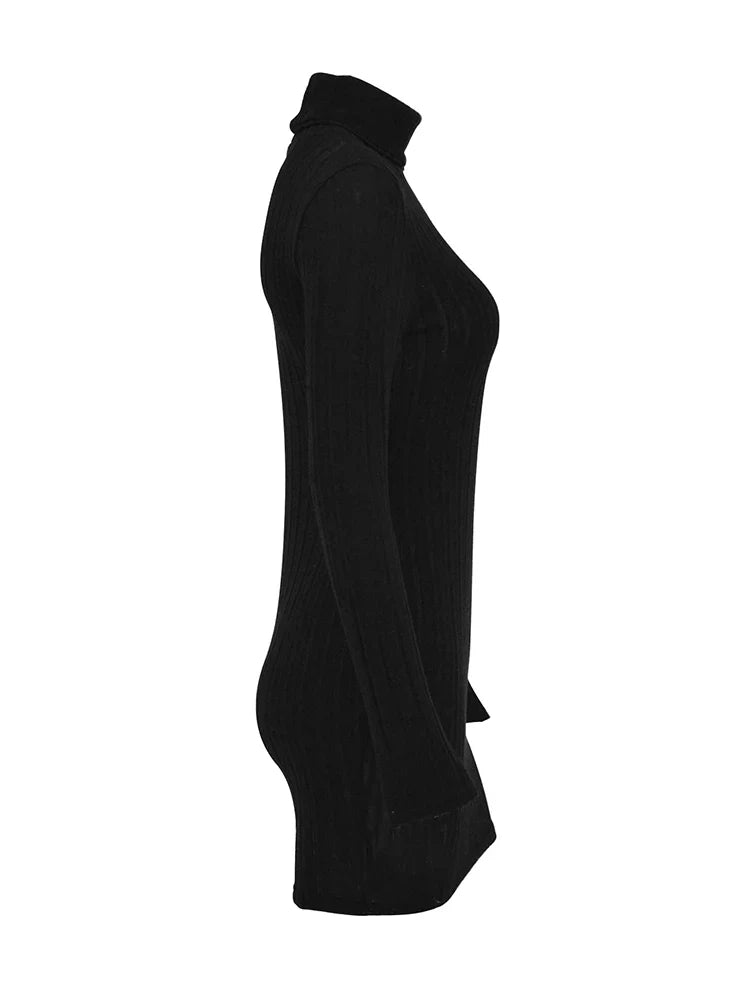 New Style Solid Dresses Autumn Winter Women Long Sleeves - Lifestil. www.Lifestil.net