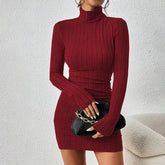 New Style Solid Dresses Autumn Winter Women Long Sleeves - Lifestil. www.Lifestil.net